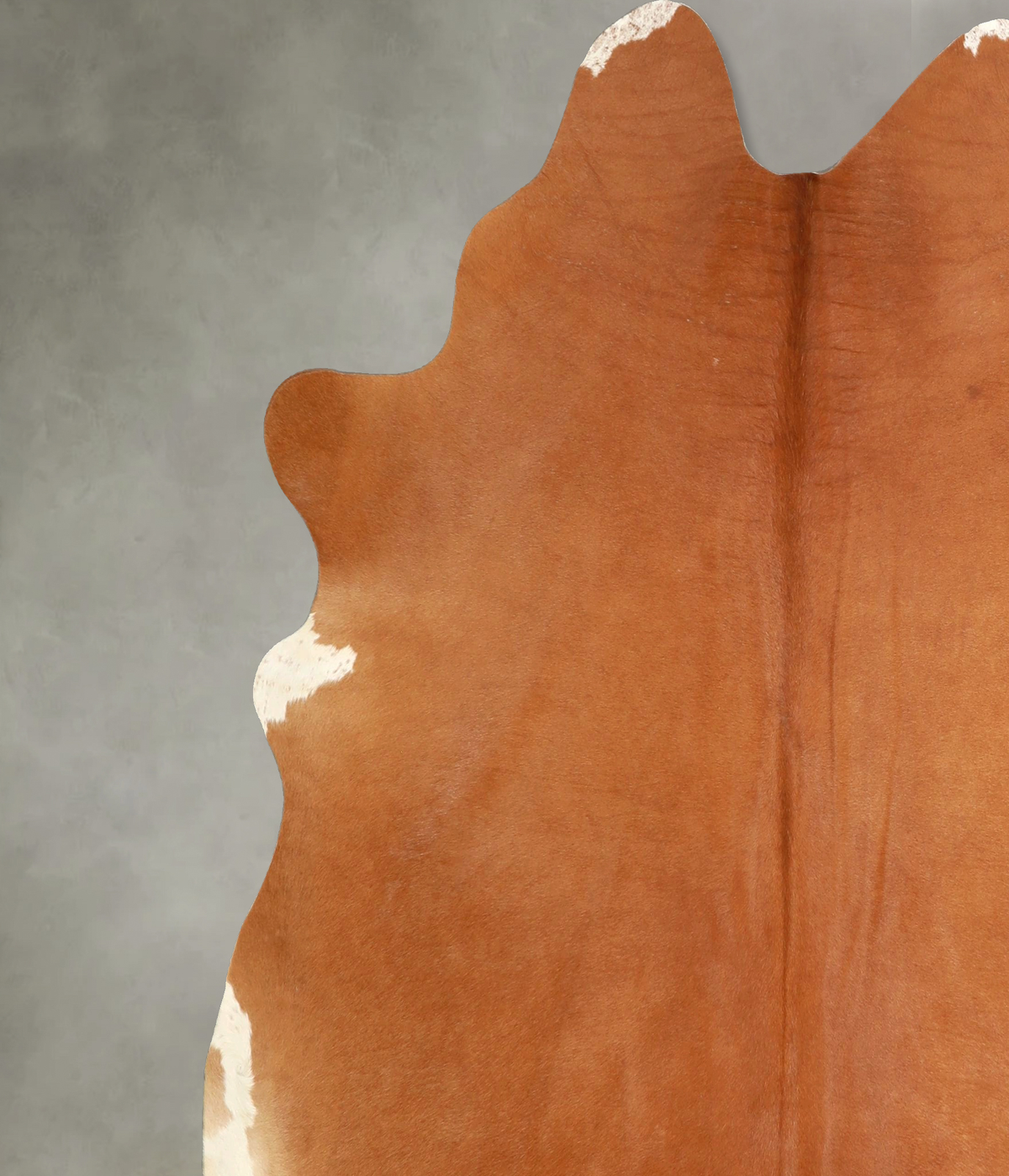 Solid Brown X-Large Brazilian Cowhide Rug 7'0"H x 6'10"W #A49478 by Hudson Hides