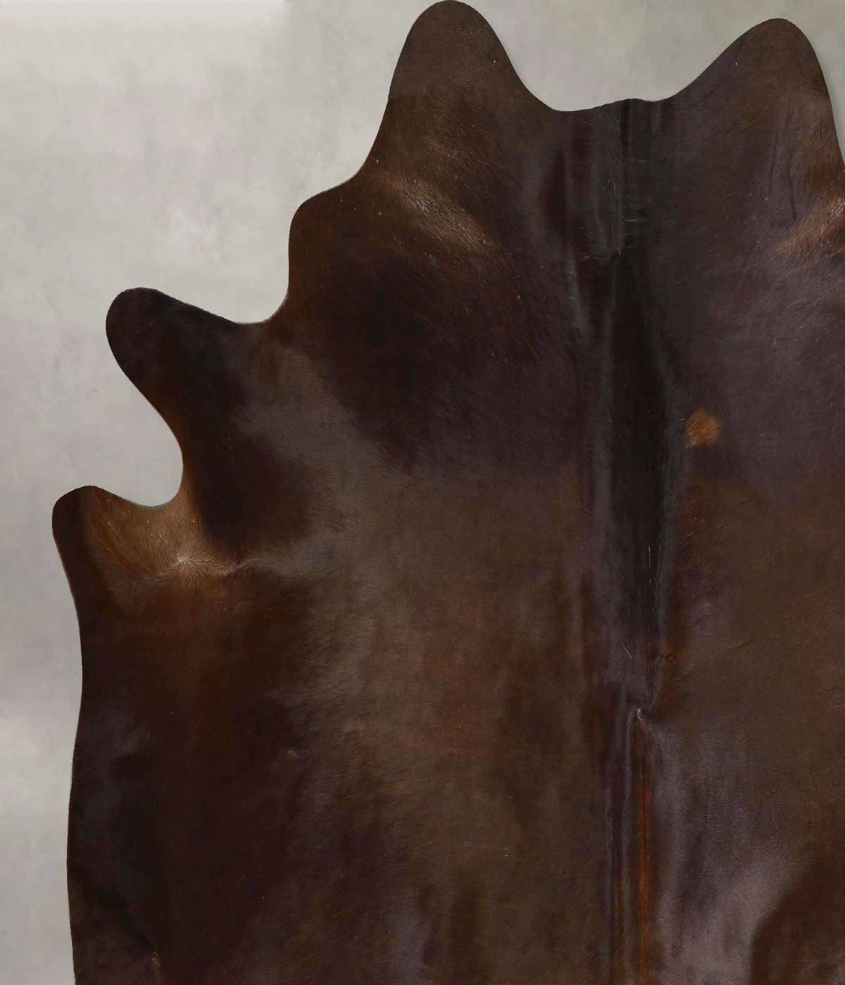 Chocolate X-Large Brazilian Cowhide Rug 7'4"H x 6'8"W #A49480 by Hudson Hides