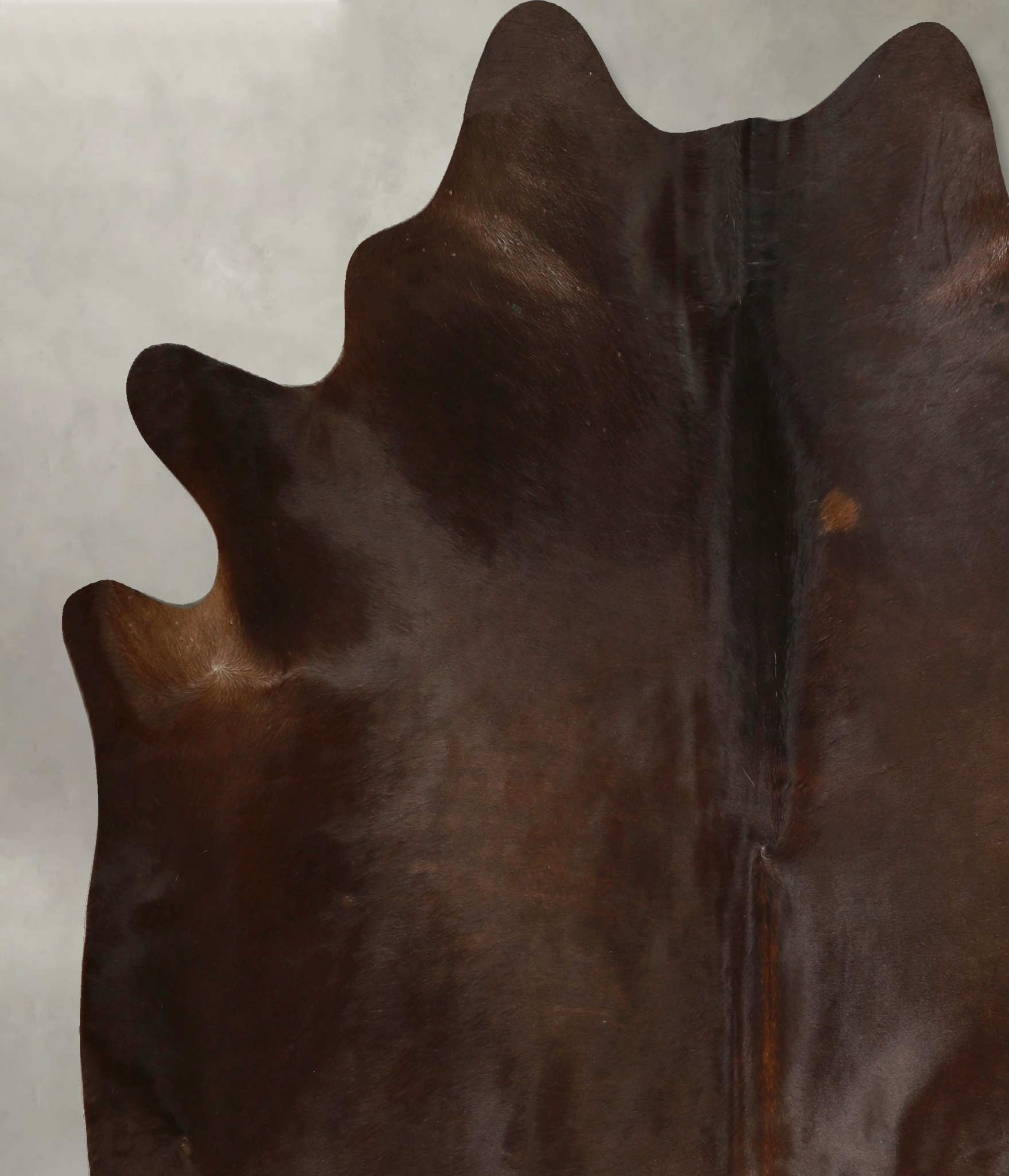 Chocolate Cowhide Rug #A49480
