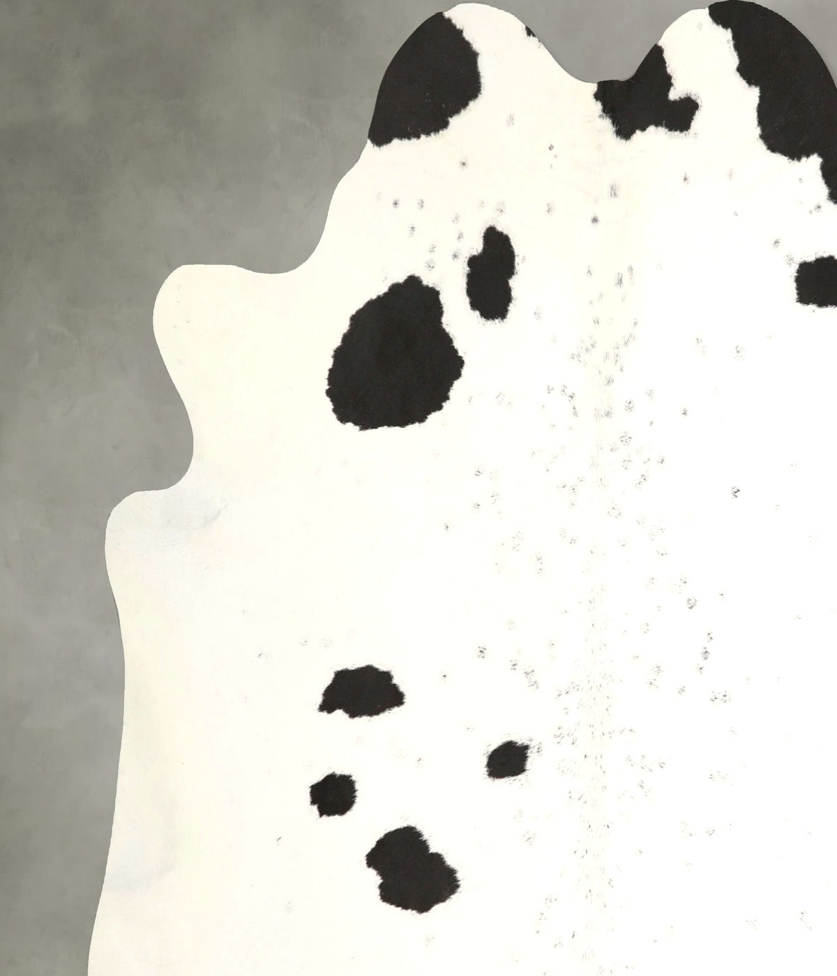 Black and White XX-Large Brazilian Cowhide Rug 7'6"H x 7'2"W #A49483 by Hudson Hides