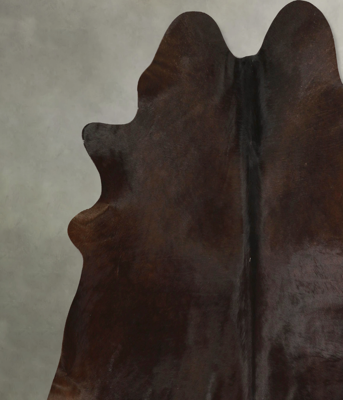 Chocolate XX-Large Brazilian Cowhide Rug 7'6"H x 7'2"W #A49484 by Hudson Hides