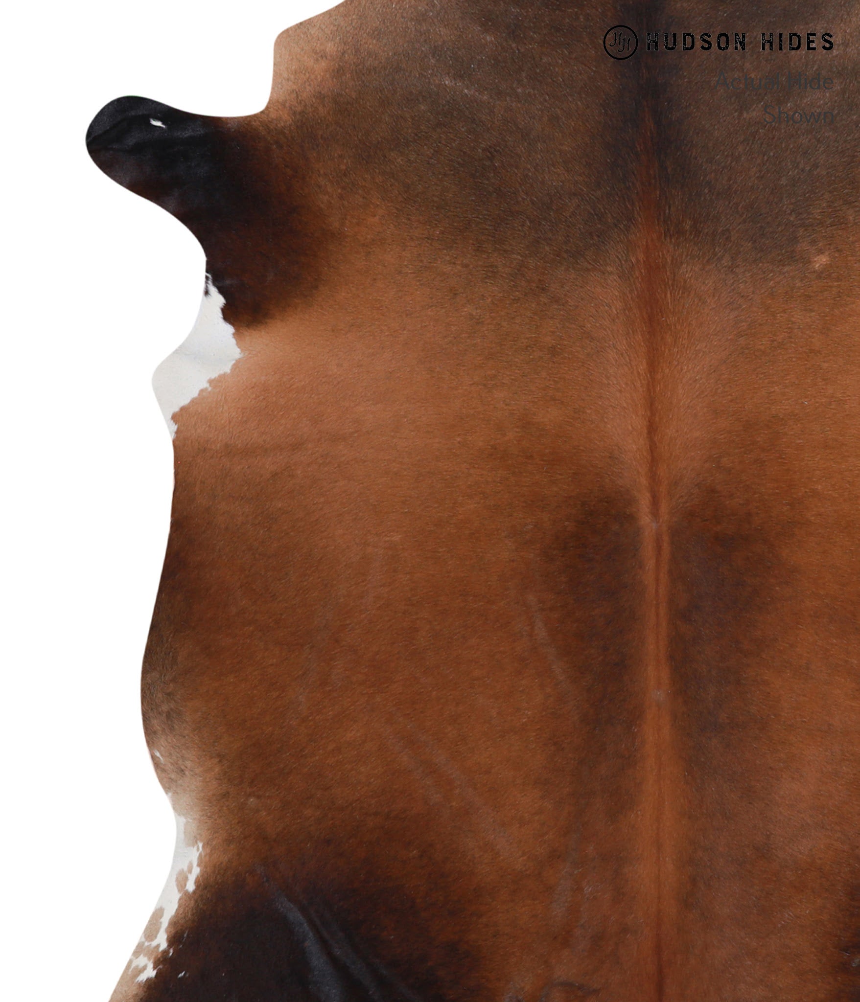 Brown with Red Cowhide Rug #A4949