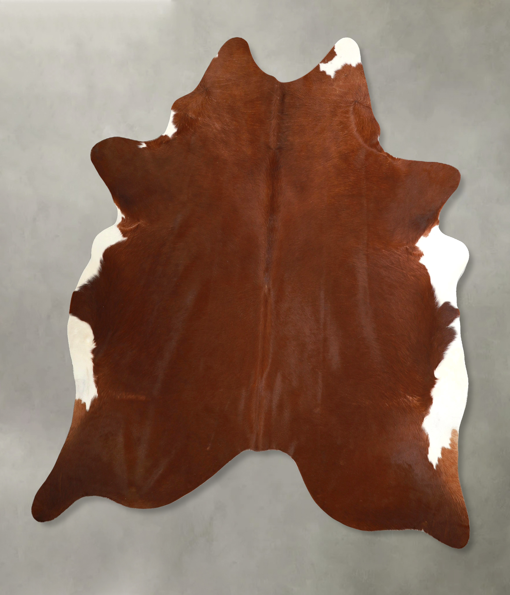 Brown and White Regular Cowhide Rug #A49507