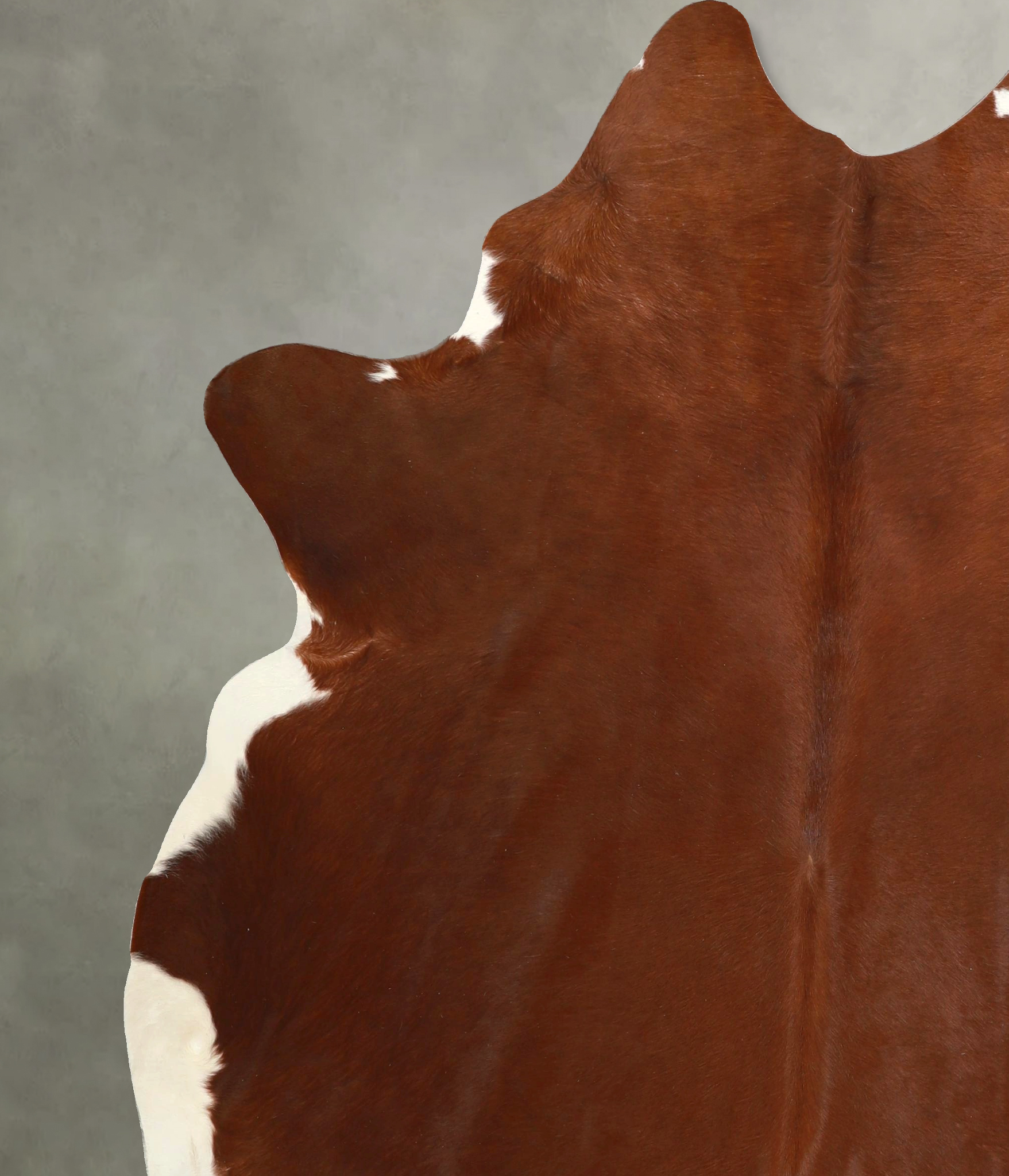 Brown and White Regular Cowhide Rug #A49507