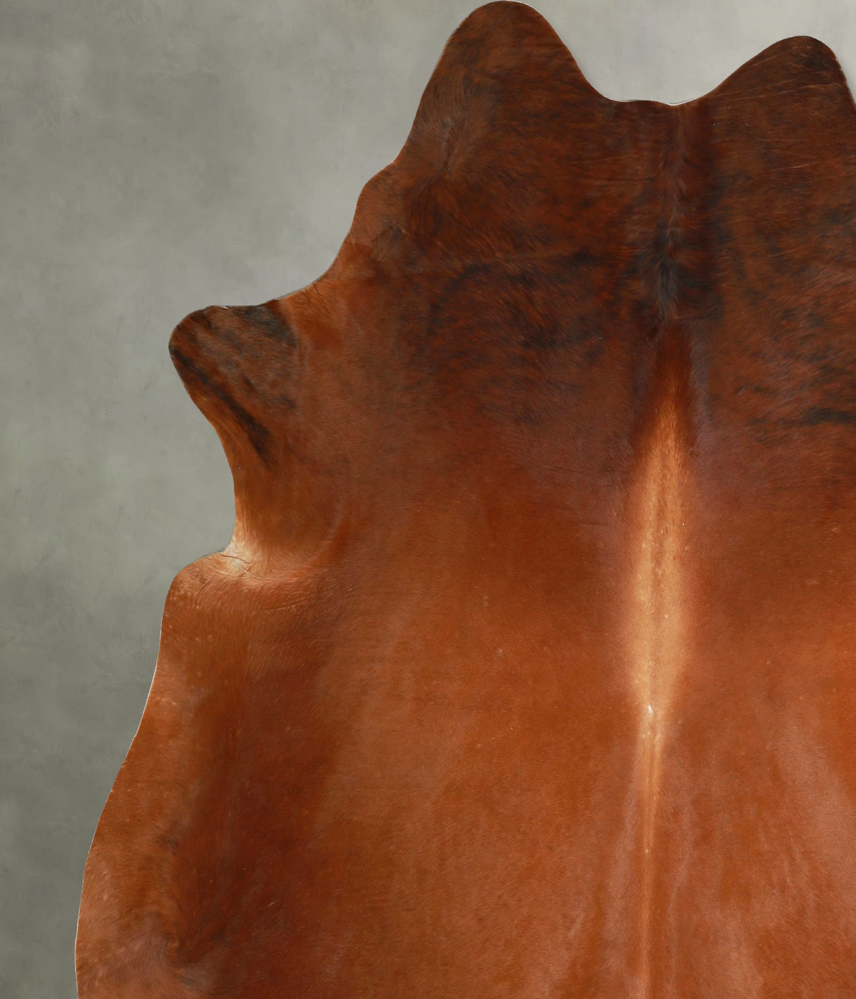 Medium Brindle XX-Large Brazilian Cowhide Rug 8'1"H x 6'10"W #A49509 by Hudson Hides