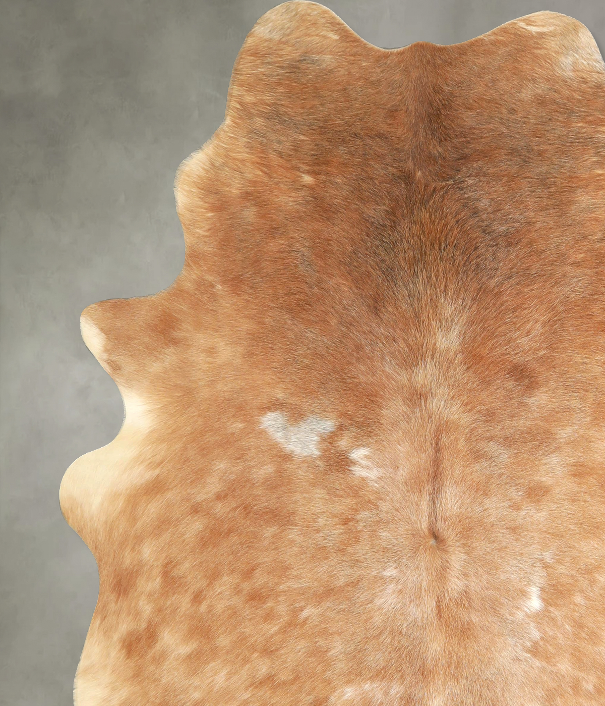 Light Caramel X-Large Brazilian Cowhide Rug 7'3"H x 6'4"W #A49514 by Hudson Hides