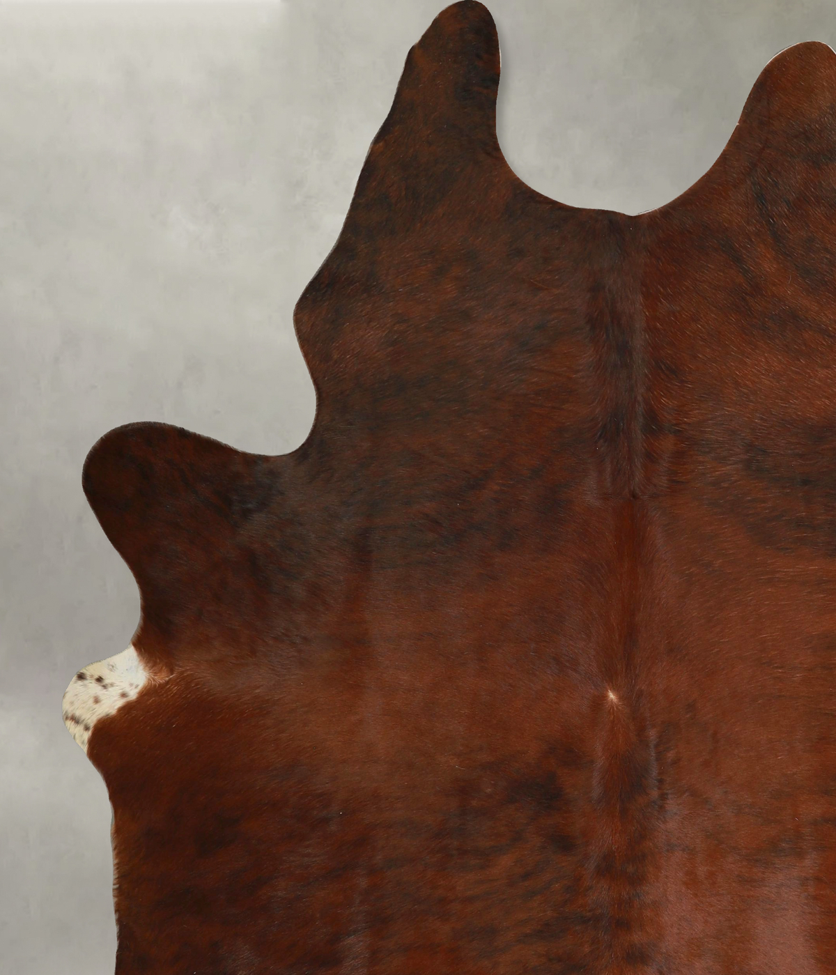 Medium Brindle XX-Large Brazilian Cowhide Rug 8'5"H x 6'7"W #A49517 by Hudson Hides