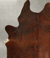 Medium Brindle XX-Large Brazilian Cowhide Rug 8'5"H x 6'7"W #A49517 by Hudson Hides
