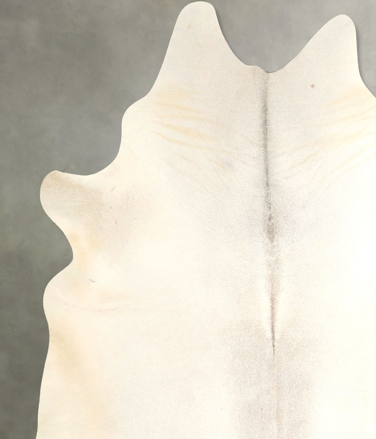 Ivory with Beige XX-Large Brazilian Cowhide Rug 8'0"H x 6'11"W #A49518 by Hudson Hides