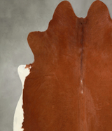 Solid Brown X-Large Brazilian Cowhide Rug 6'9"H x 7'1"W #A49519 by Hudson Hides