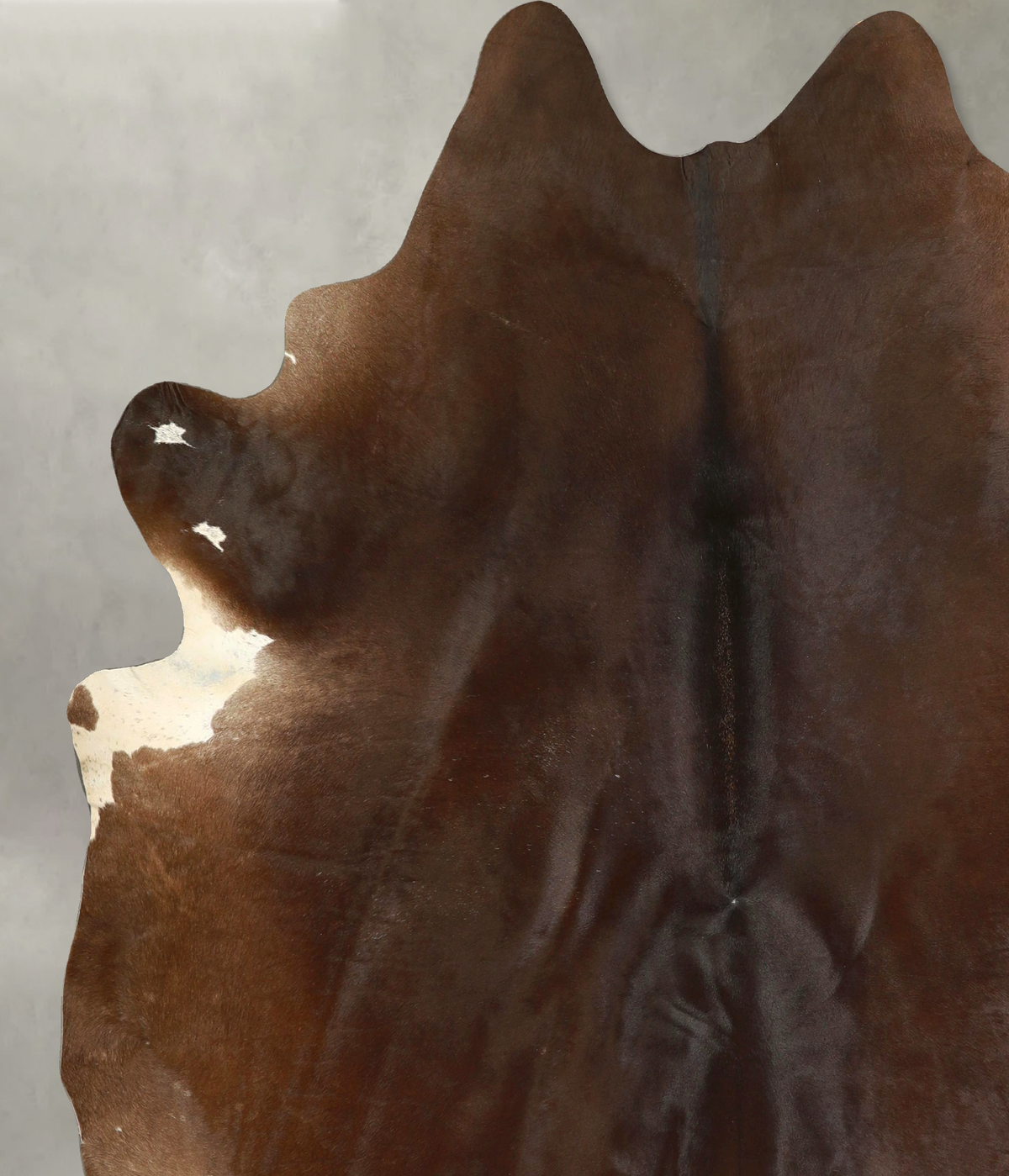 Chocolate XX-Large Brazilian Cowhide Rug 7'9"H x 7'2"W #A49526 by Hudson Hides