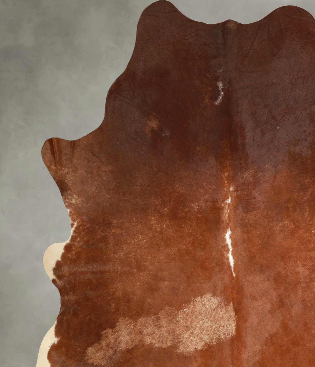 Solid Brown XX-Large Brazilian Cowhide Rug 7'6"H x 7'0"W #A49529 by Hudson Hides
