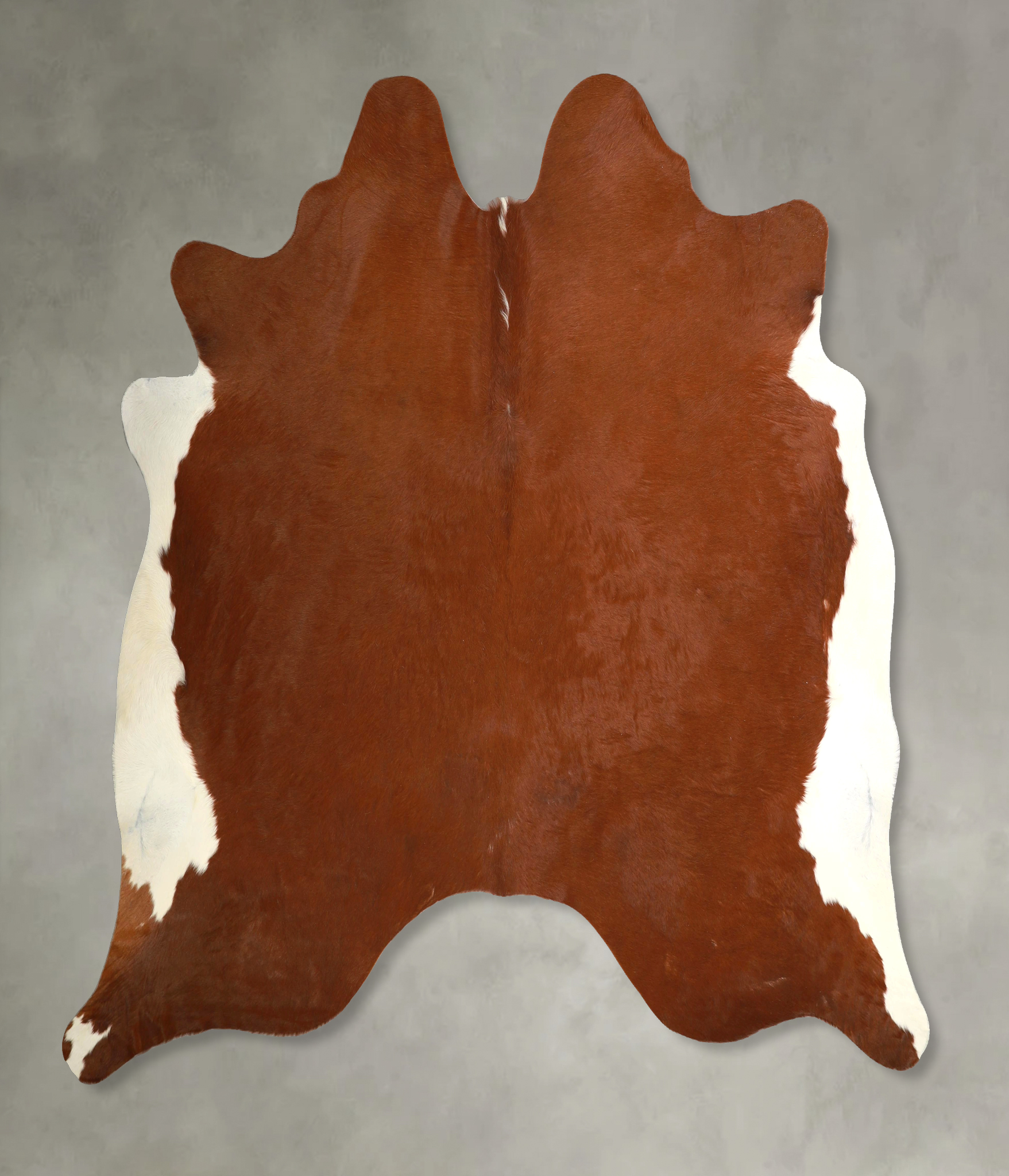 Brown and White Regular Cowhide Rug #A49536