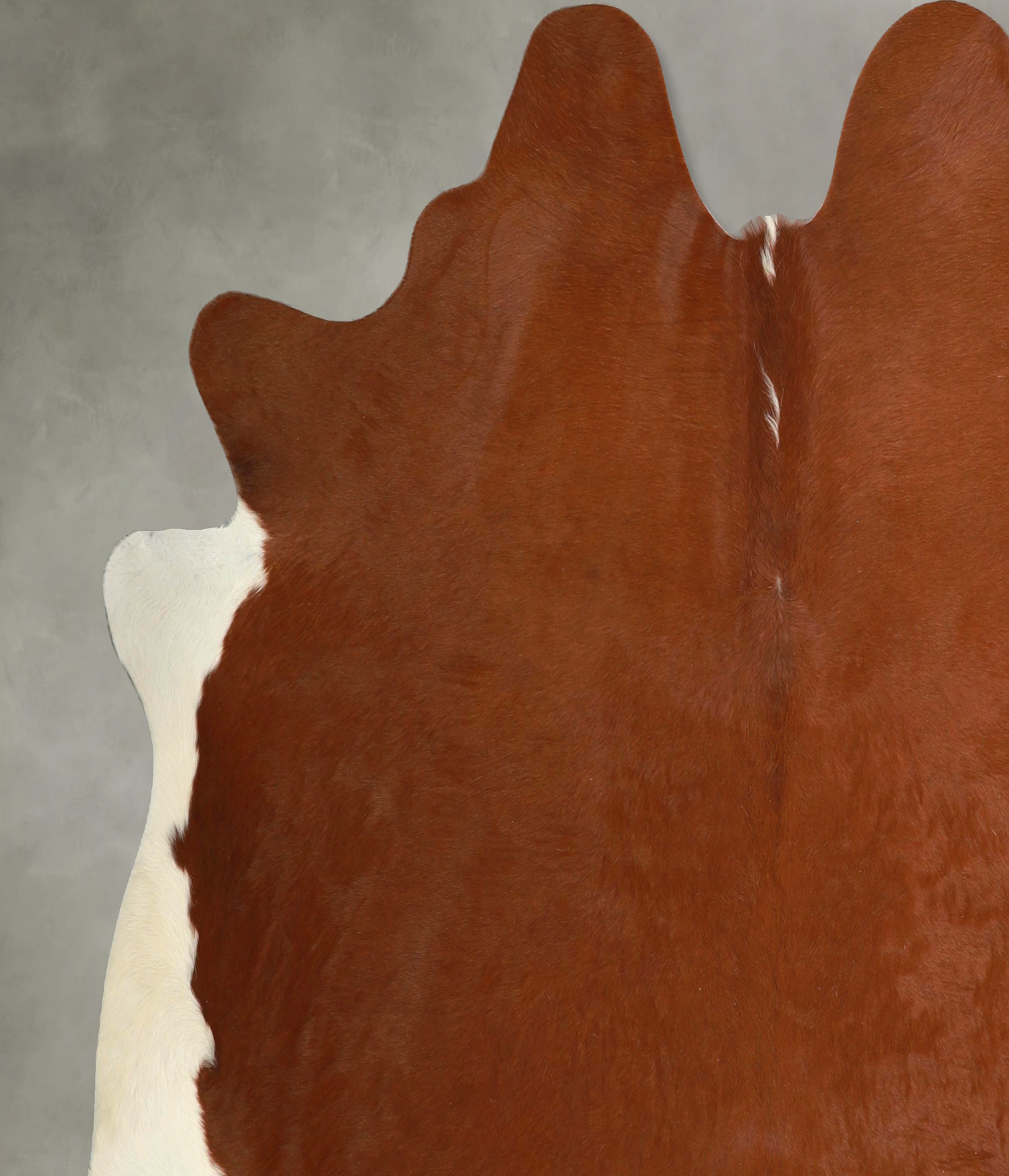 Brown and White Regular Cowhide Rug #A49536