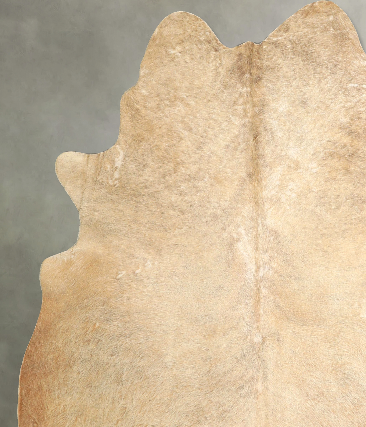 Palomino X-Large Brazilian Cowhide Rug 7'4"H x 6'5"W #A49542 by Hudson Hides