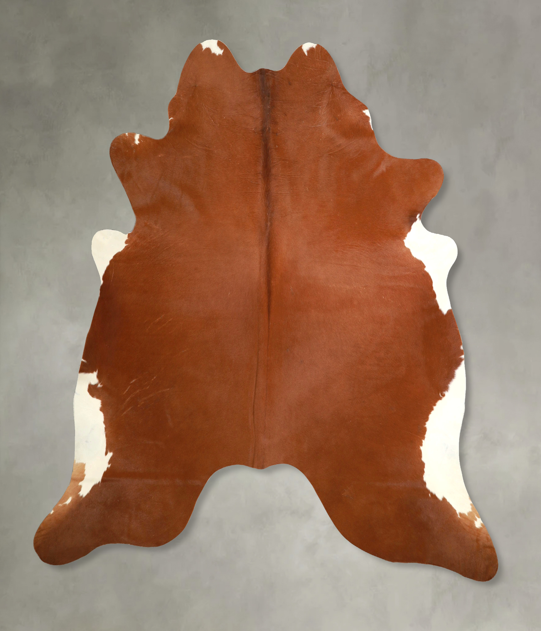 Brown and White Regular Cowhide Rug #A49545