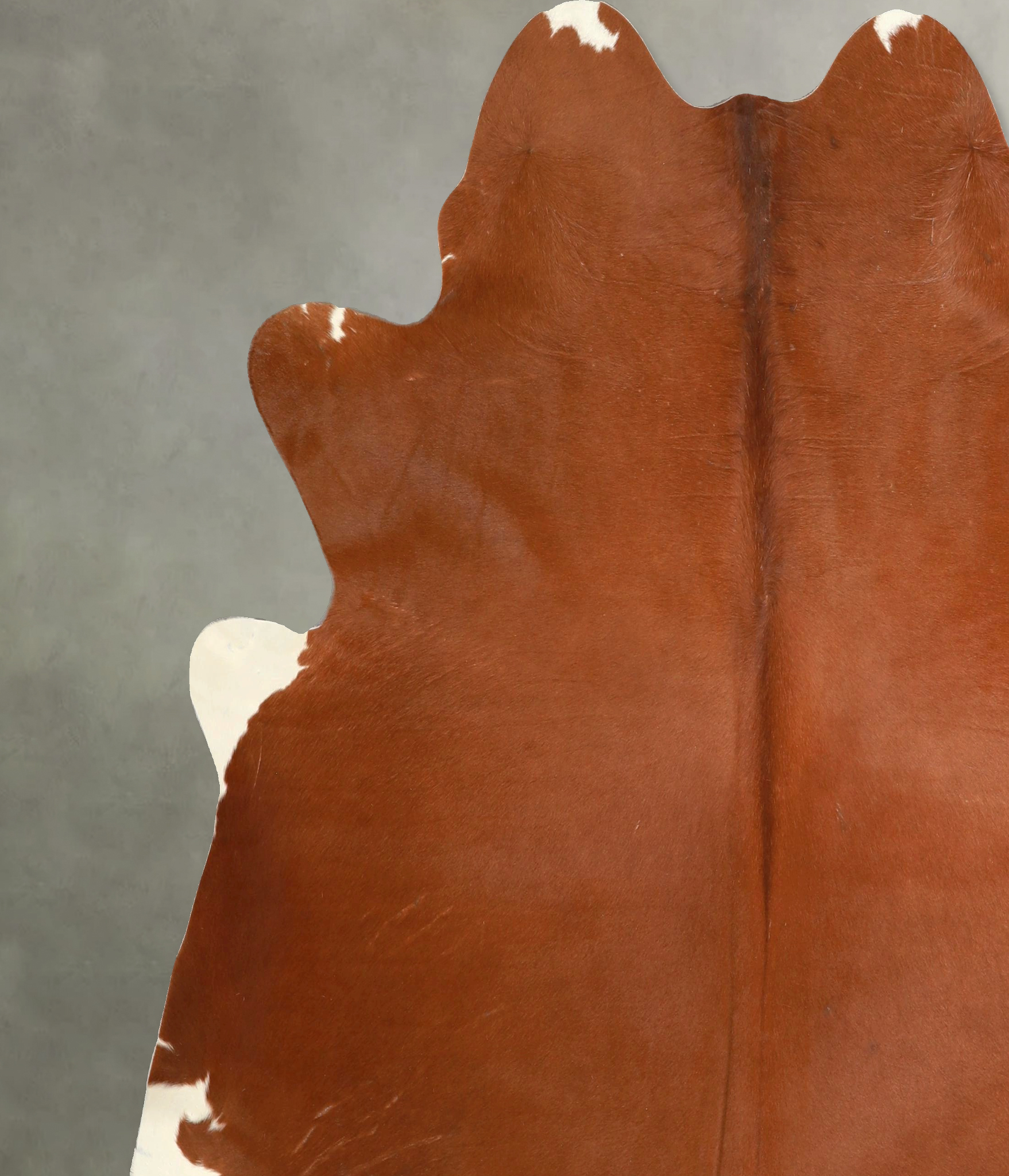 Brown and White Regular Cowhide Rug #A49545