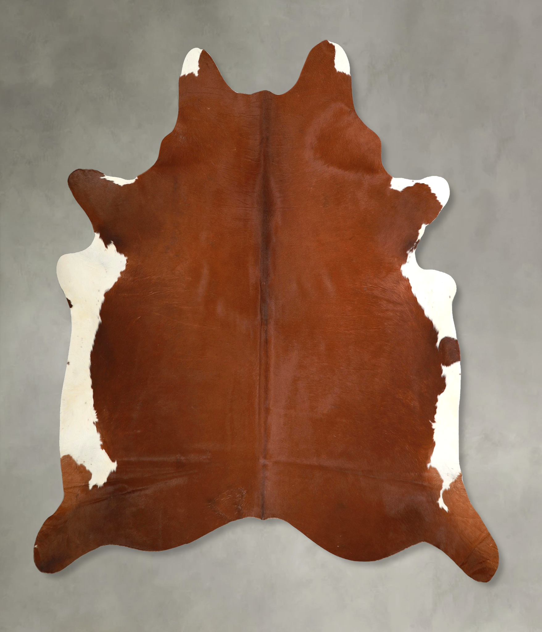 Brown and White Regular Cowhide Rug #A49548