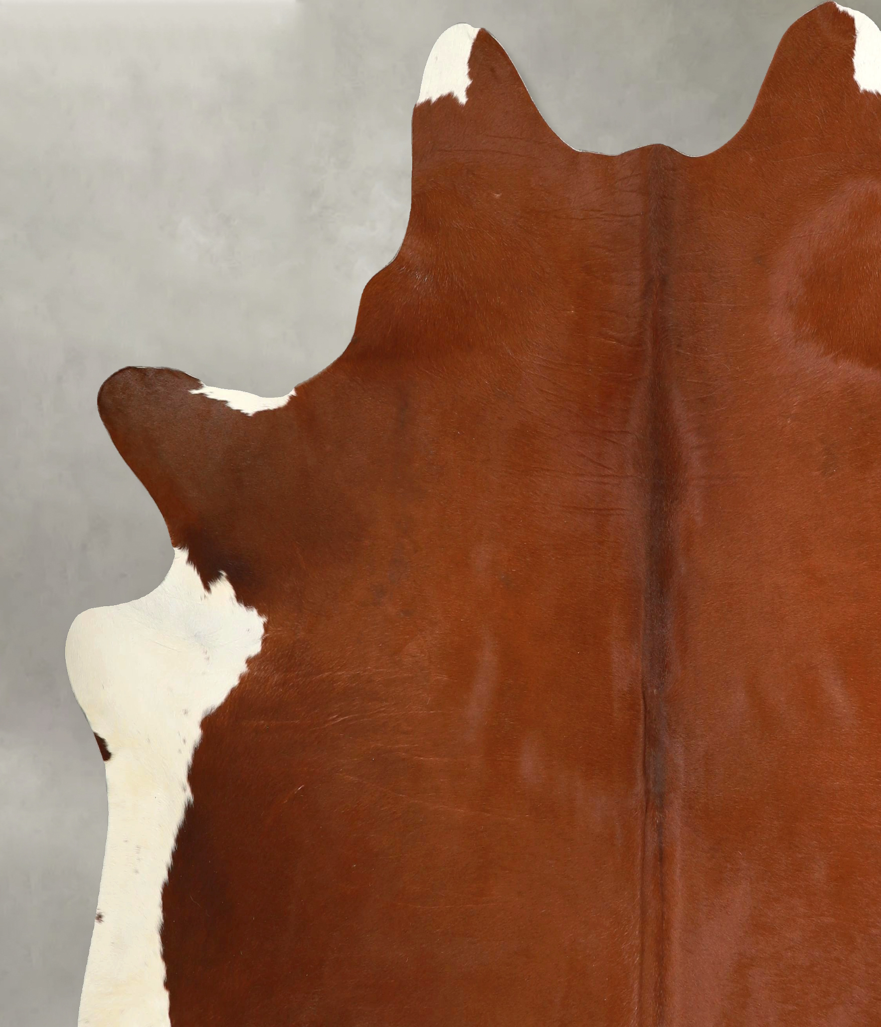 Brown and White Regular Cowhide Rug #A49548