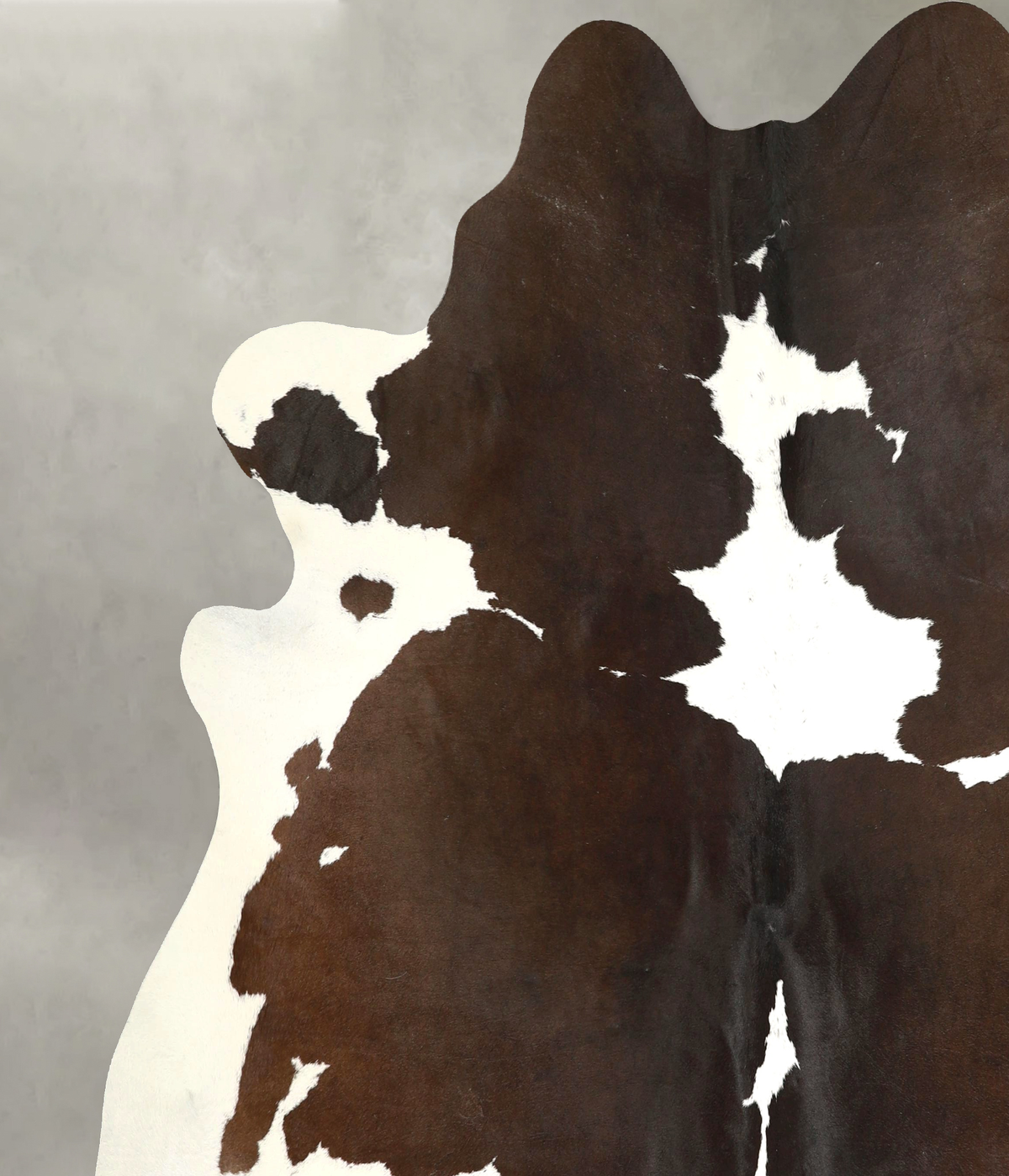 Chocolate and White XX-Large Brazilian Cowhide Rug 7'6"H x 7'2"W #A49551 by Hudson Hides