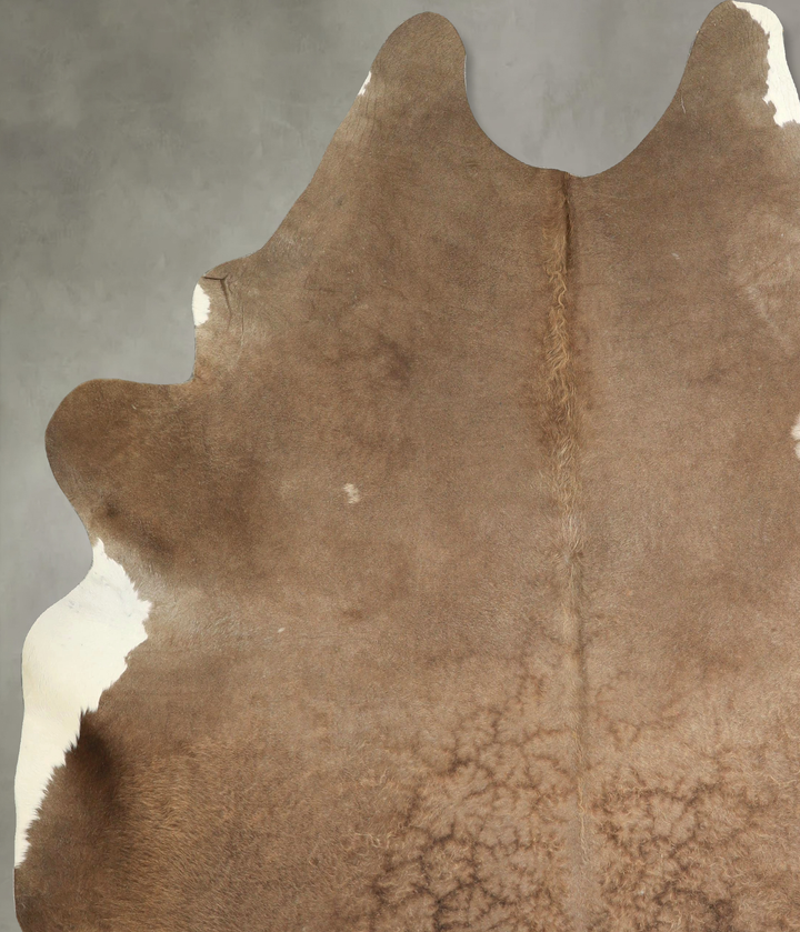 Taupe XX-Large Brazilian Cowhide Rug 8'5"H x 6'10"W #A49556 by Hudson Hides