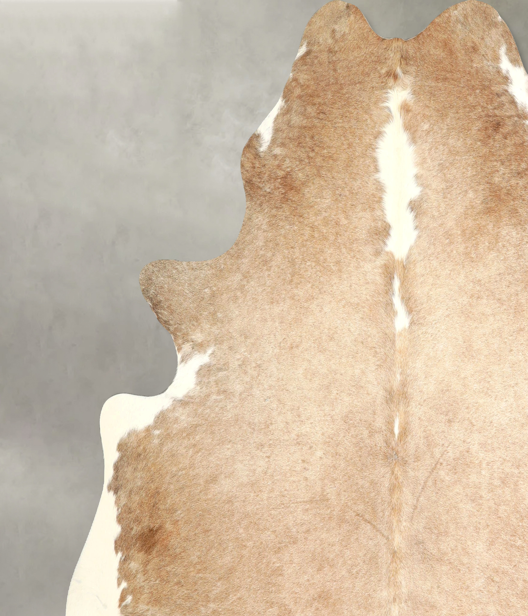 Taupe X-Large Brazilian Cowhide Rug 7'2"H x 6'11"W #A49558 by Hudson H