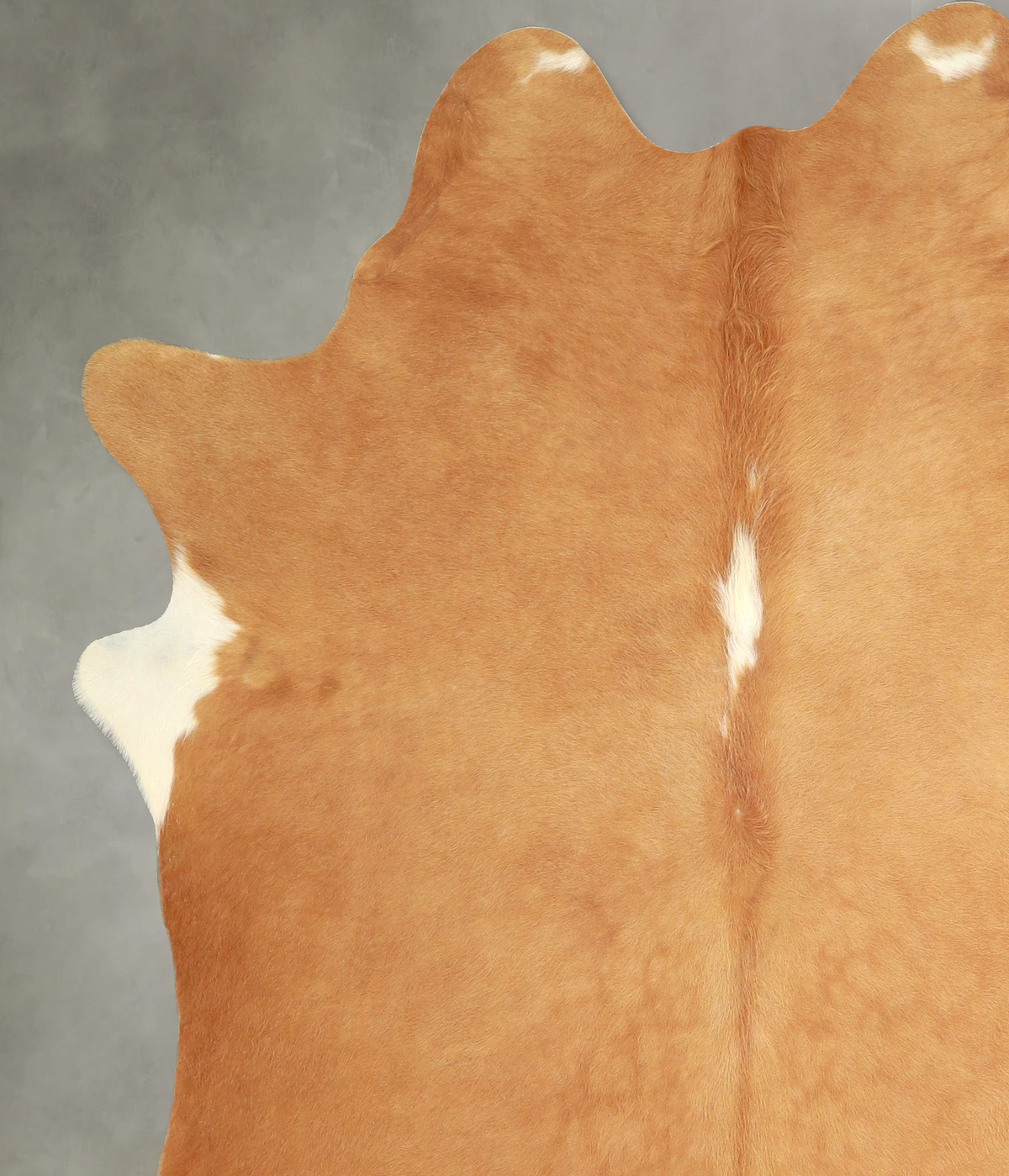 Beige X-Large Brazilian Cowhide Rug 7'6"H x 6'5"W #A49562 by Hudson Hides