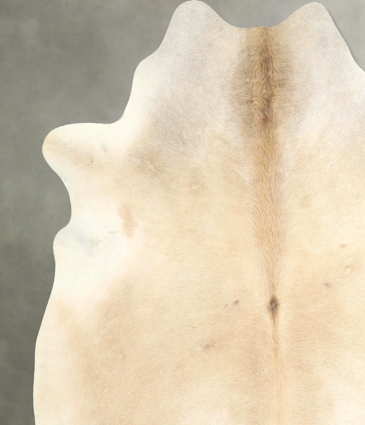 Palomino X-Large Brazilian Cowhide Rug 7'0"H x 6'1"W #A49571 by Hudson Hides