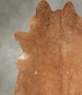 Solid Brown XX-Large Brazilian Cowhide Rug 8'0"H x 7'11"W #A49574 by Hudson Hides