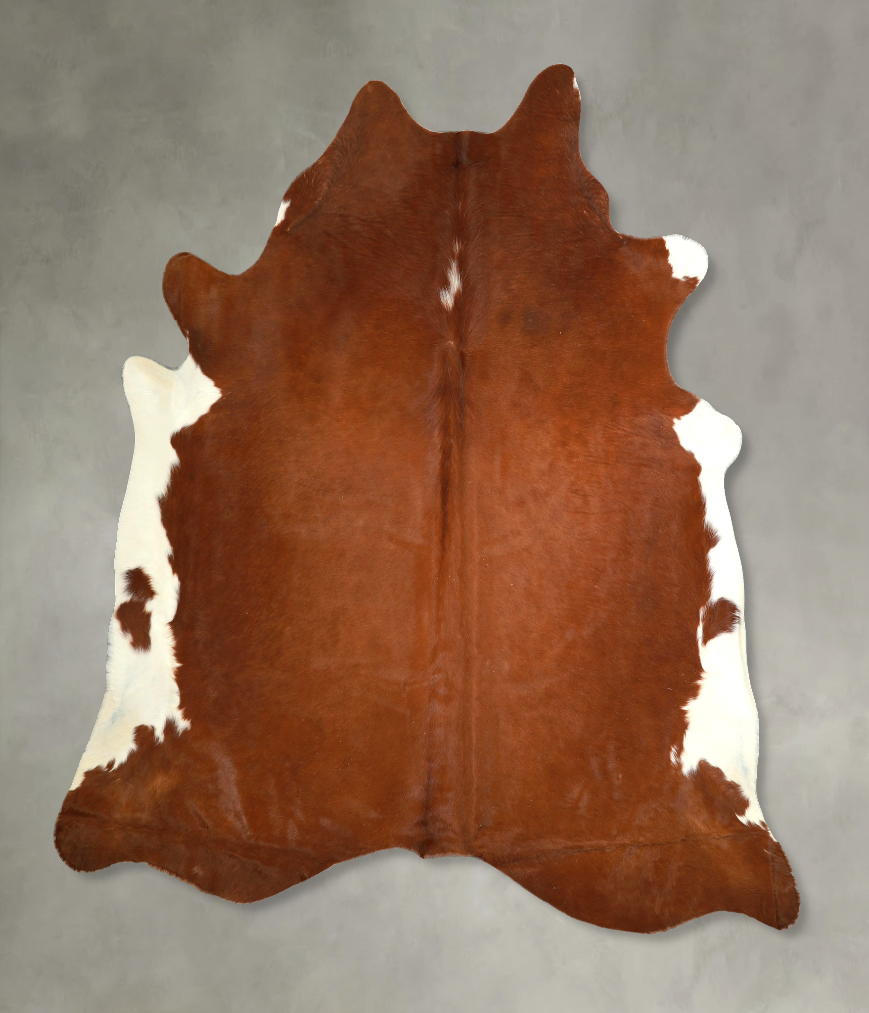 Brown and White Regular Cowhide Rug #A49575