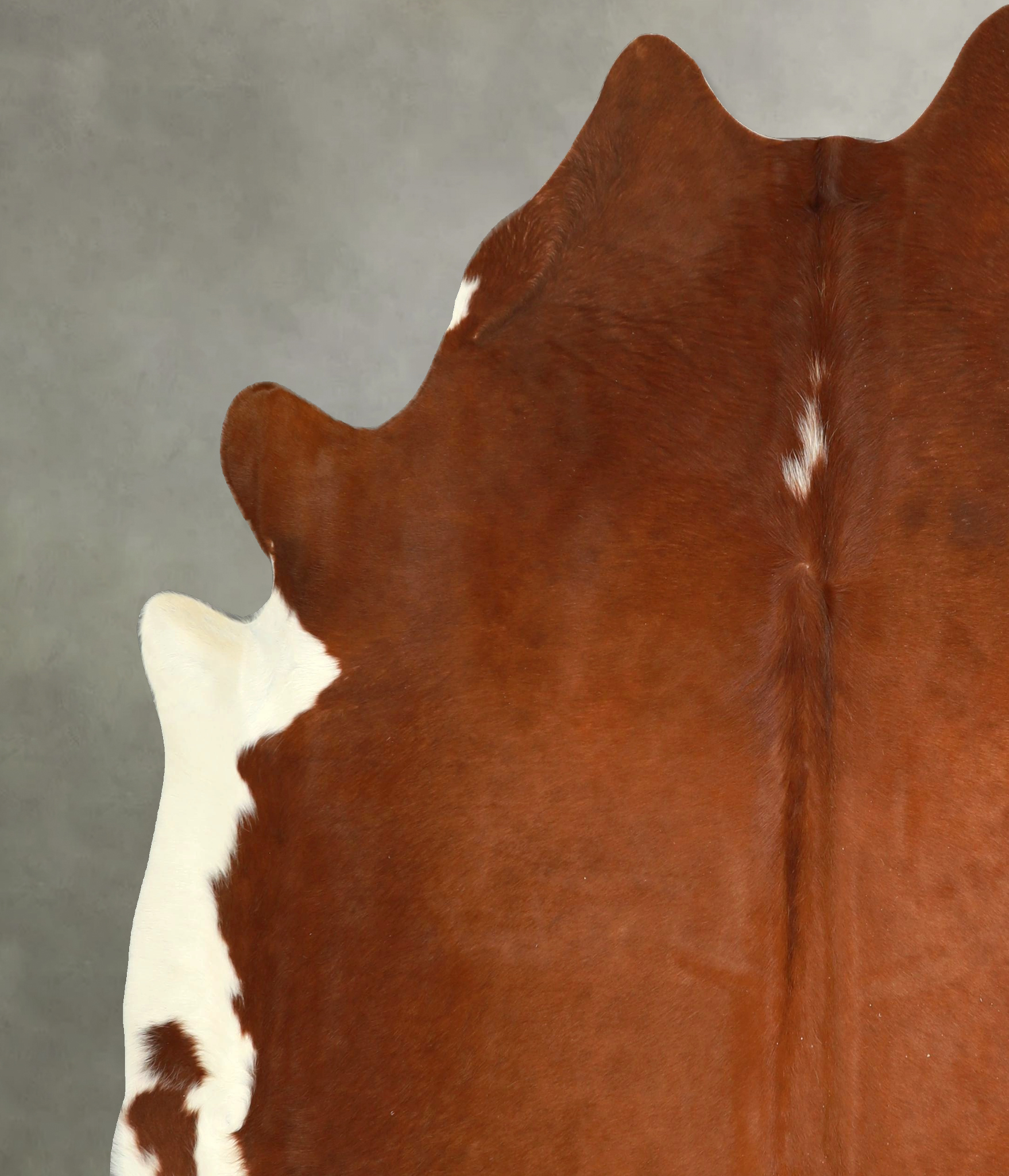 Brown and White Regular Cowhide Rug #A49575