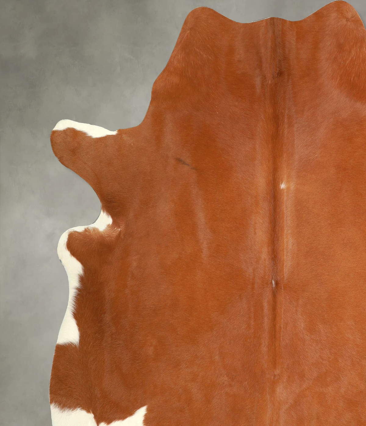 Brown and White X-Large Brazilian Cowhide Rug 7'2"H x 6'9"W #A49595 by Hudson Hides