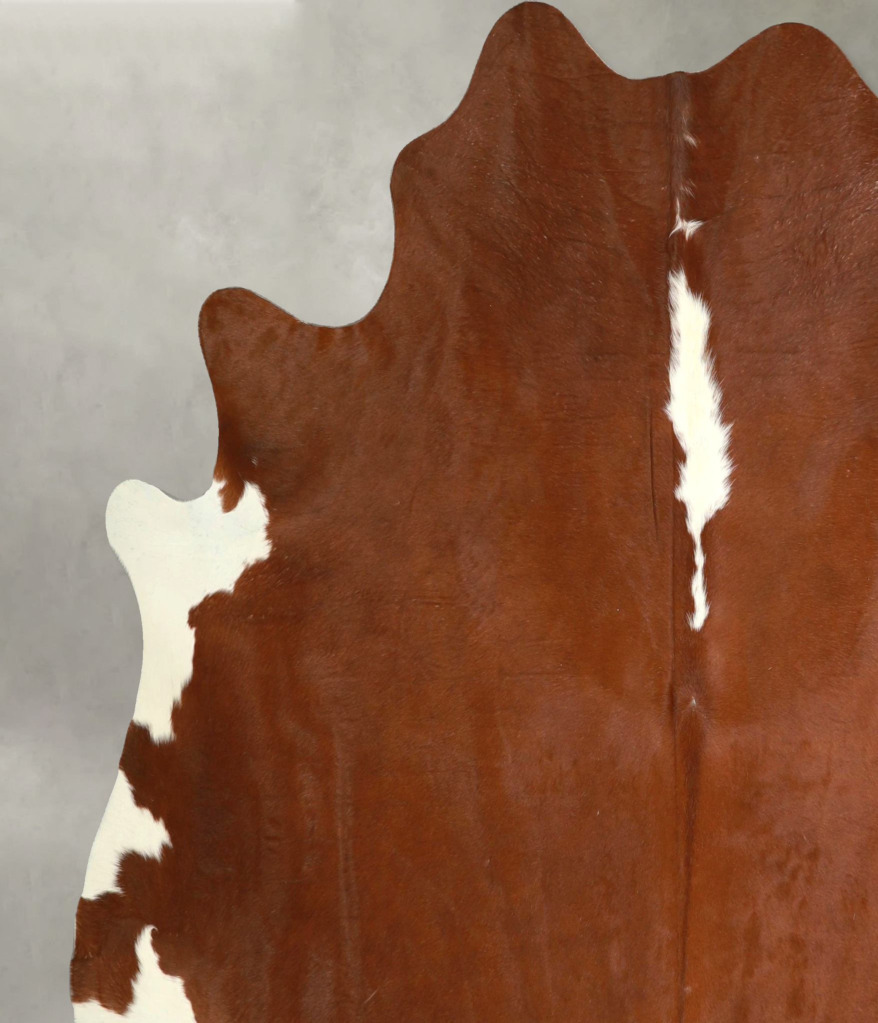 Hereford Cowhide Rug #A49598