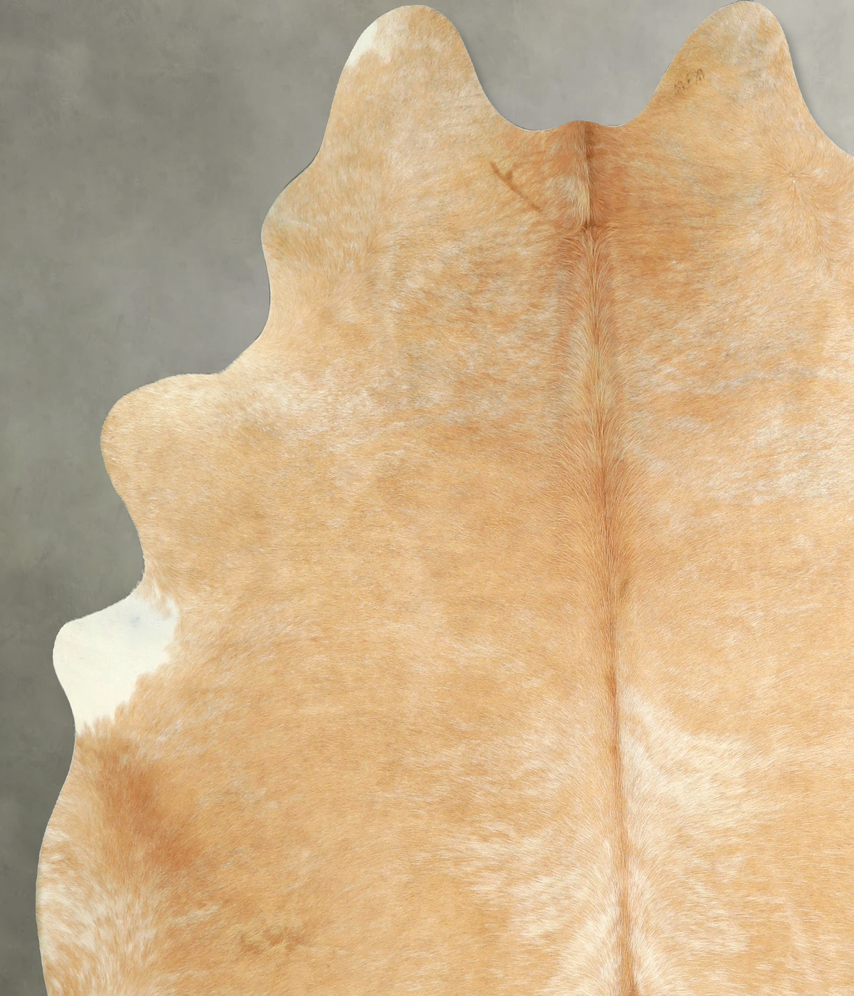 Beige XX-Large Brazilian Cowhide Rug 7'6"H x 6'10"W #A49613 by Hudson Hides