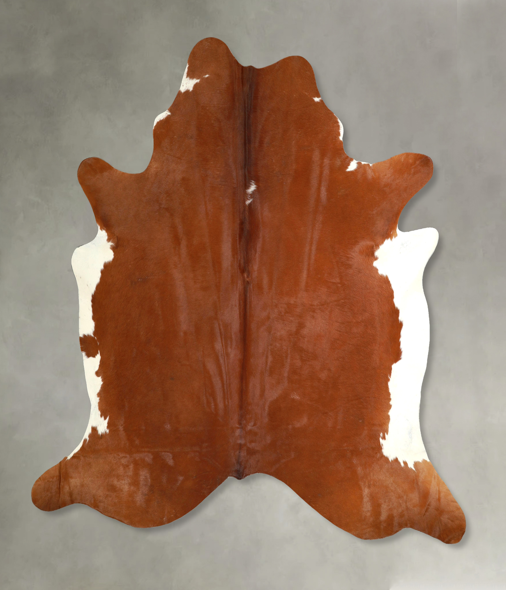 Brown and White Regular Cowhide Rug #A49618