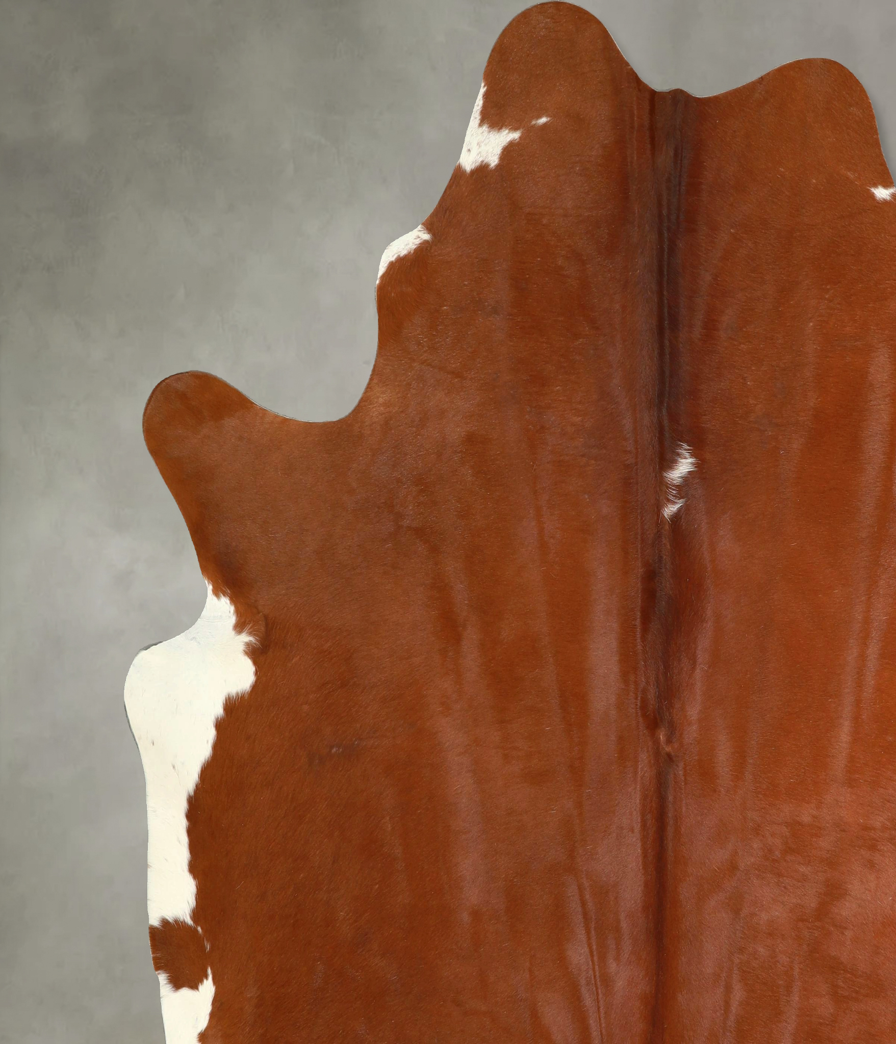 Brown and White Regular Cowhide Rug #A49618