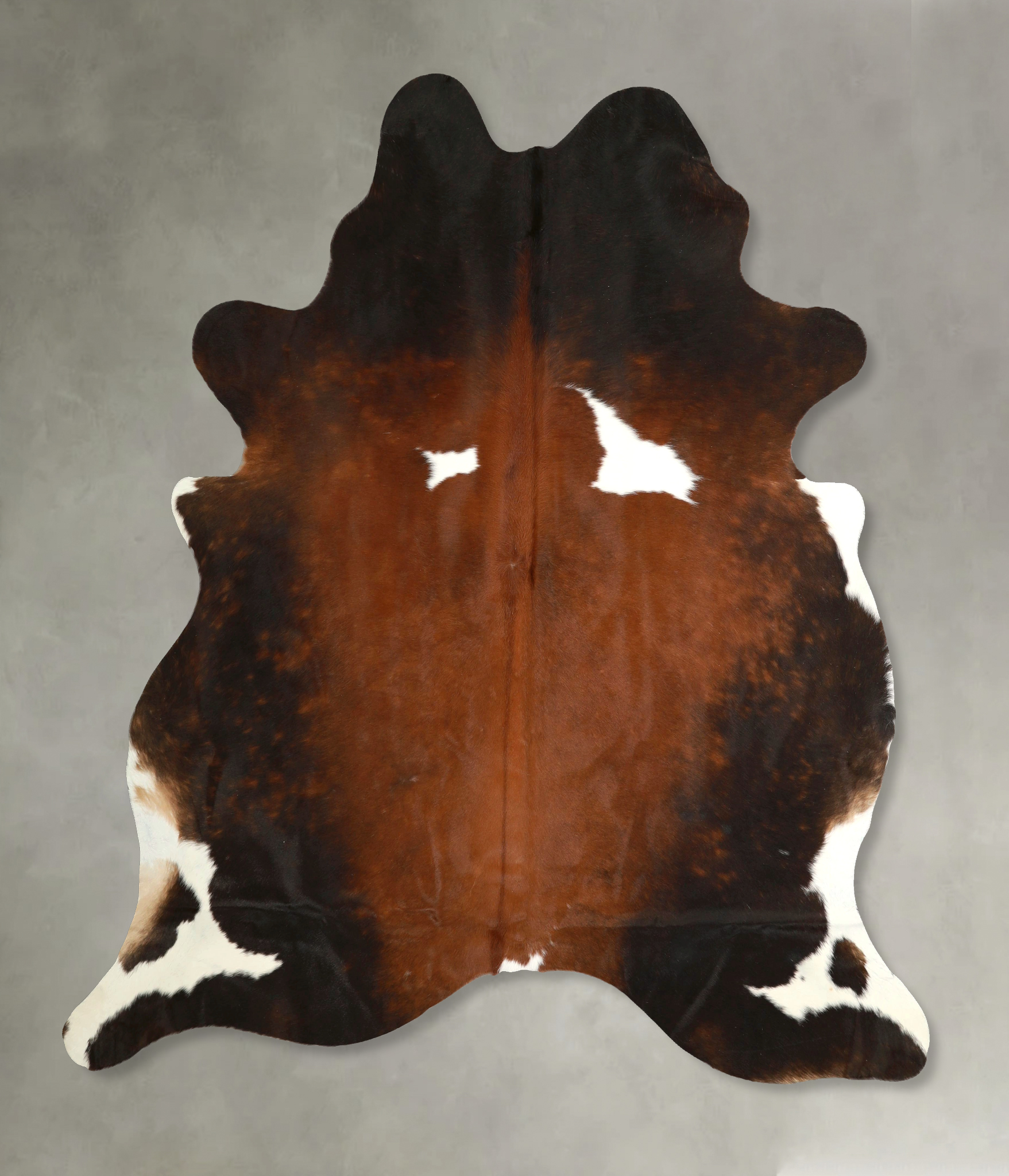 Chocolate and White Cowhide Rug #A49623