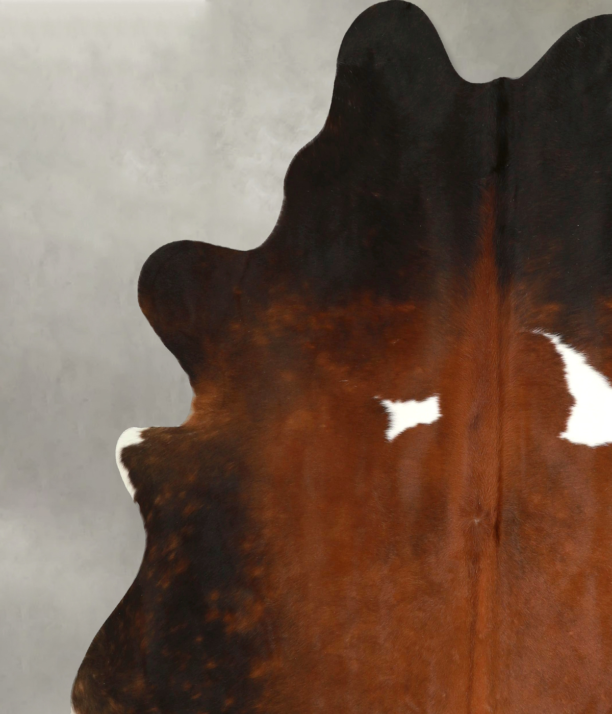 Chocolate and White Cowhide Rug #A49623
