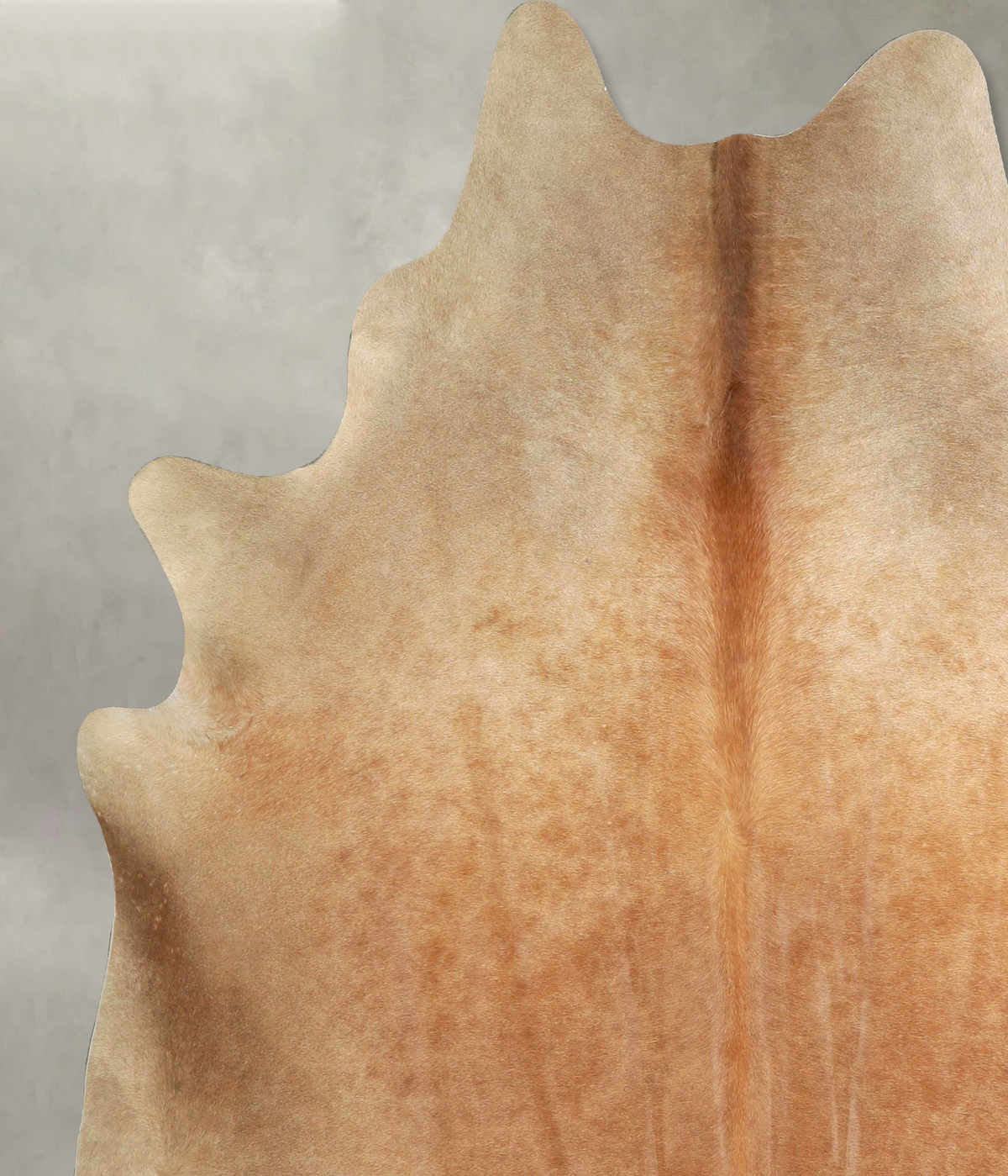 Beige XX-Large Brazilian Cowhide Rug 7'8"H x 6'9"W #A49626 by Hudson Hides