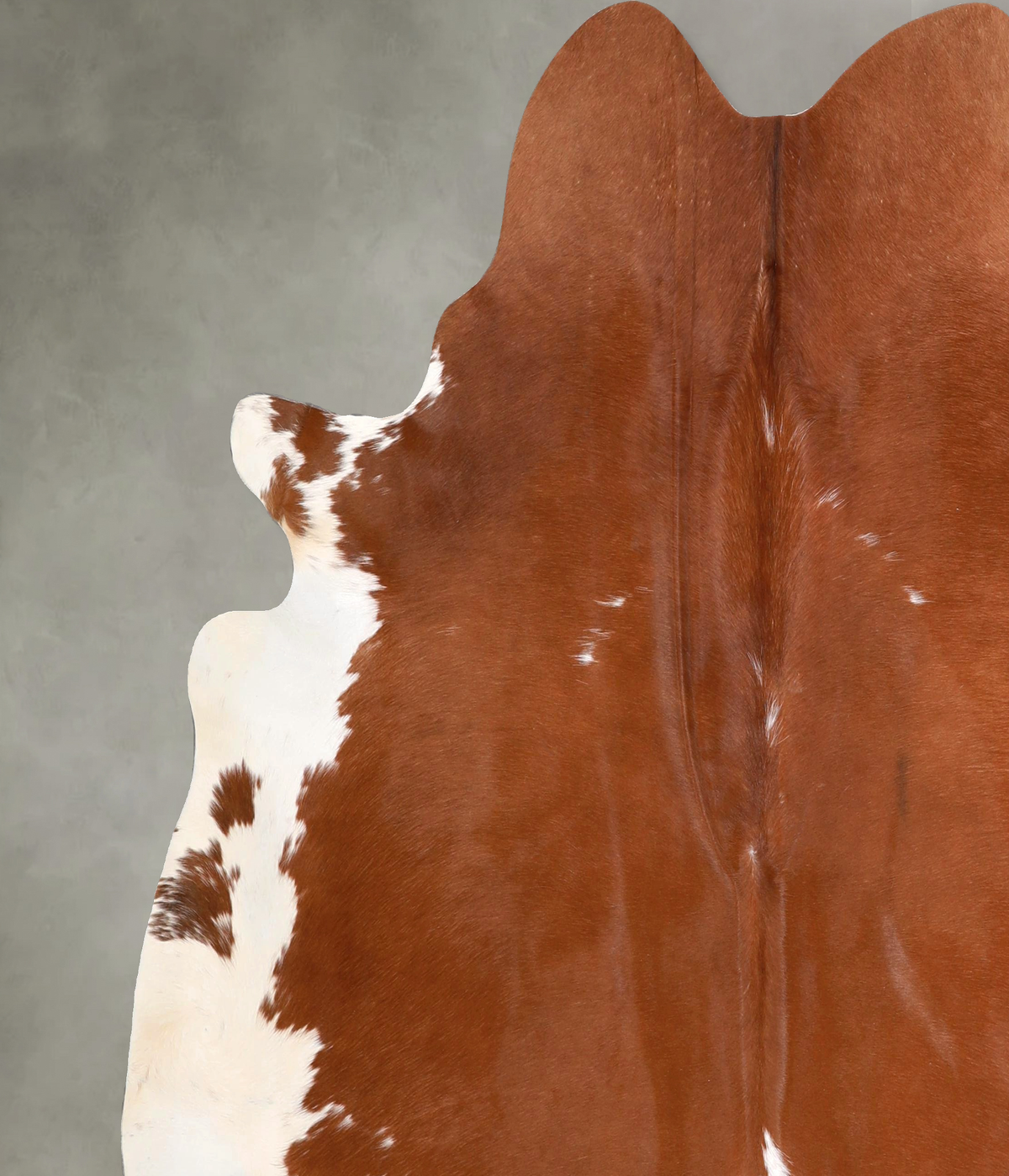 Brown and White X-Large Brazilian Cowhide Rug 6'9"H x 6'10"W #A49640 by Hudson Hides