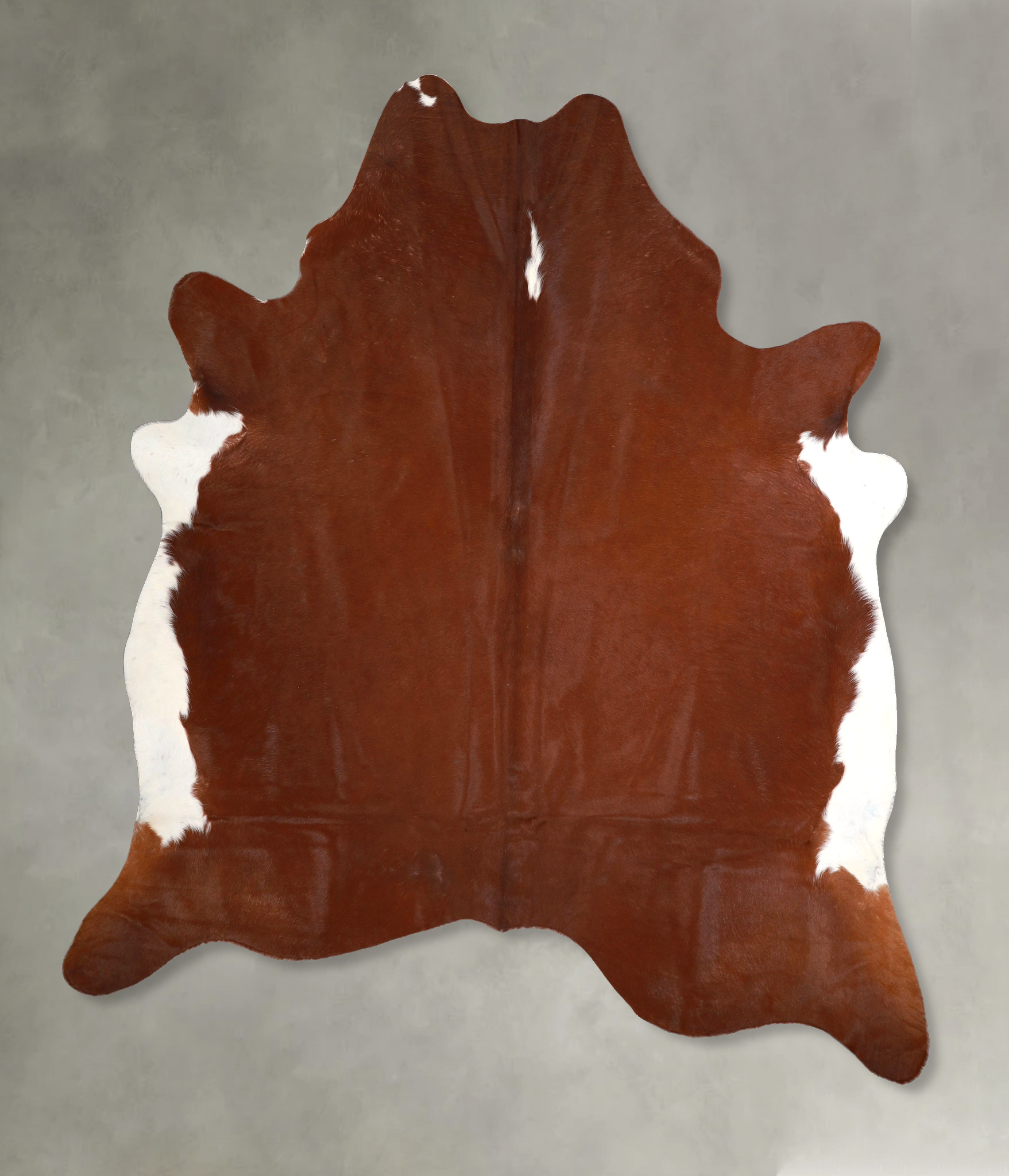 Brown and White Regular Cowhide Rug #A49649