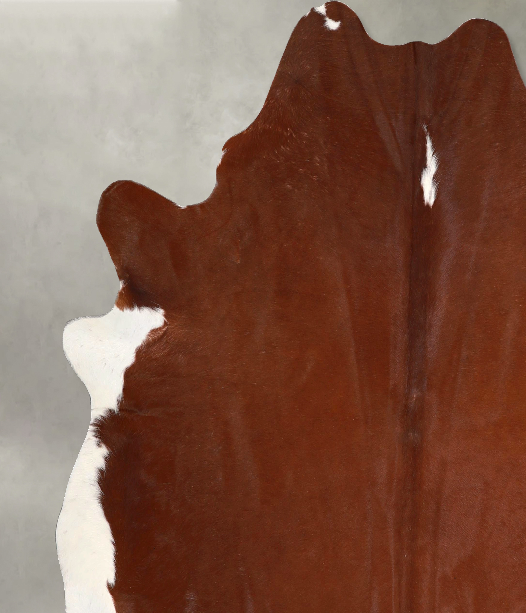 Brown and White Regular Cowhide Rug #A49649