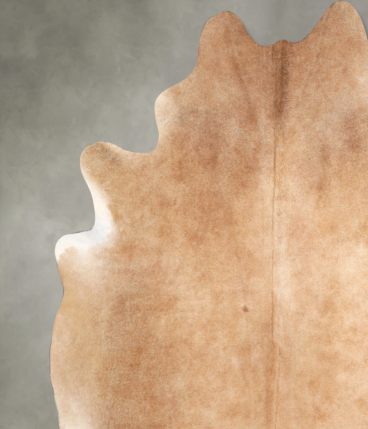 Beige XX-Large Brazilian Cowhide Rug 8'1"H x 7'3"W #A49653 by Hudson Hides