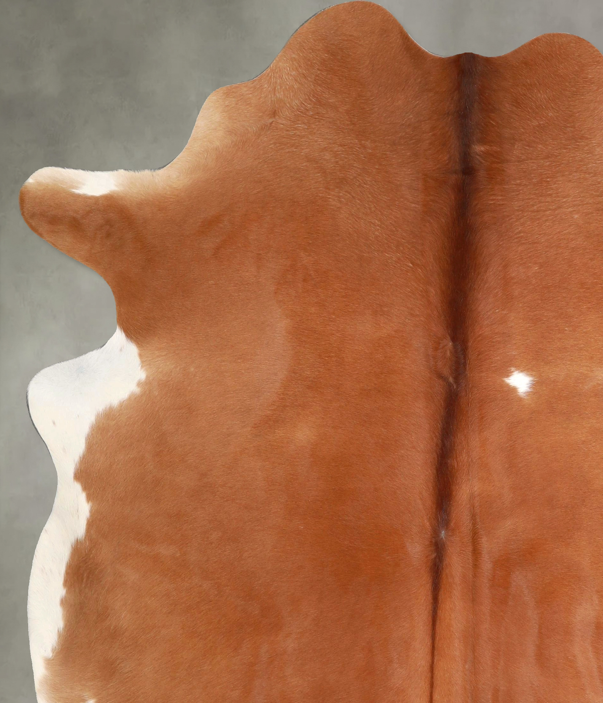 Brown and White X-Large Brazilian Cowhide Rug 7'4"H x 5'10"W #A49660 by Hudson Hides