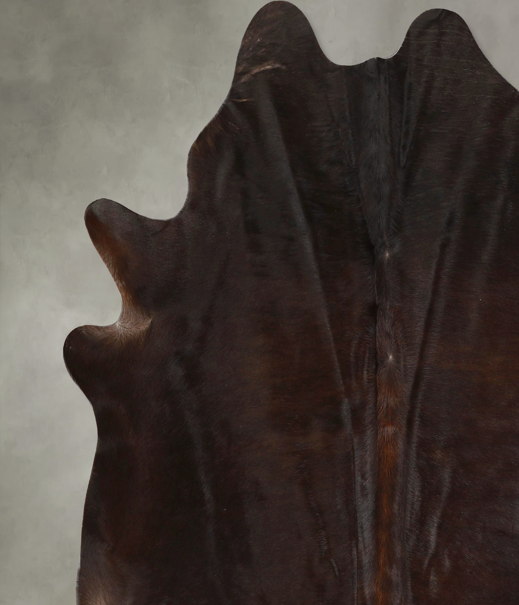 Chocolate Cowhide Rug #A49672