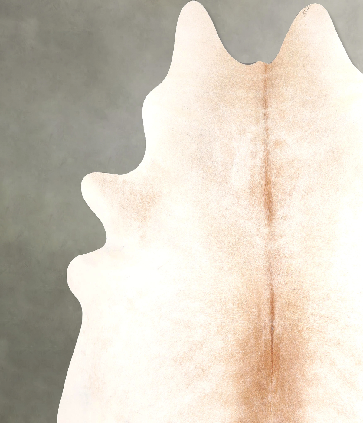 Light Caramel XX-Large Brazilian Cowhide Rug 7'0"H x 7'4"W #A49677 by Hudson Hides