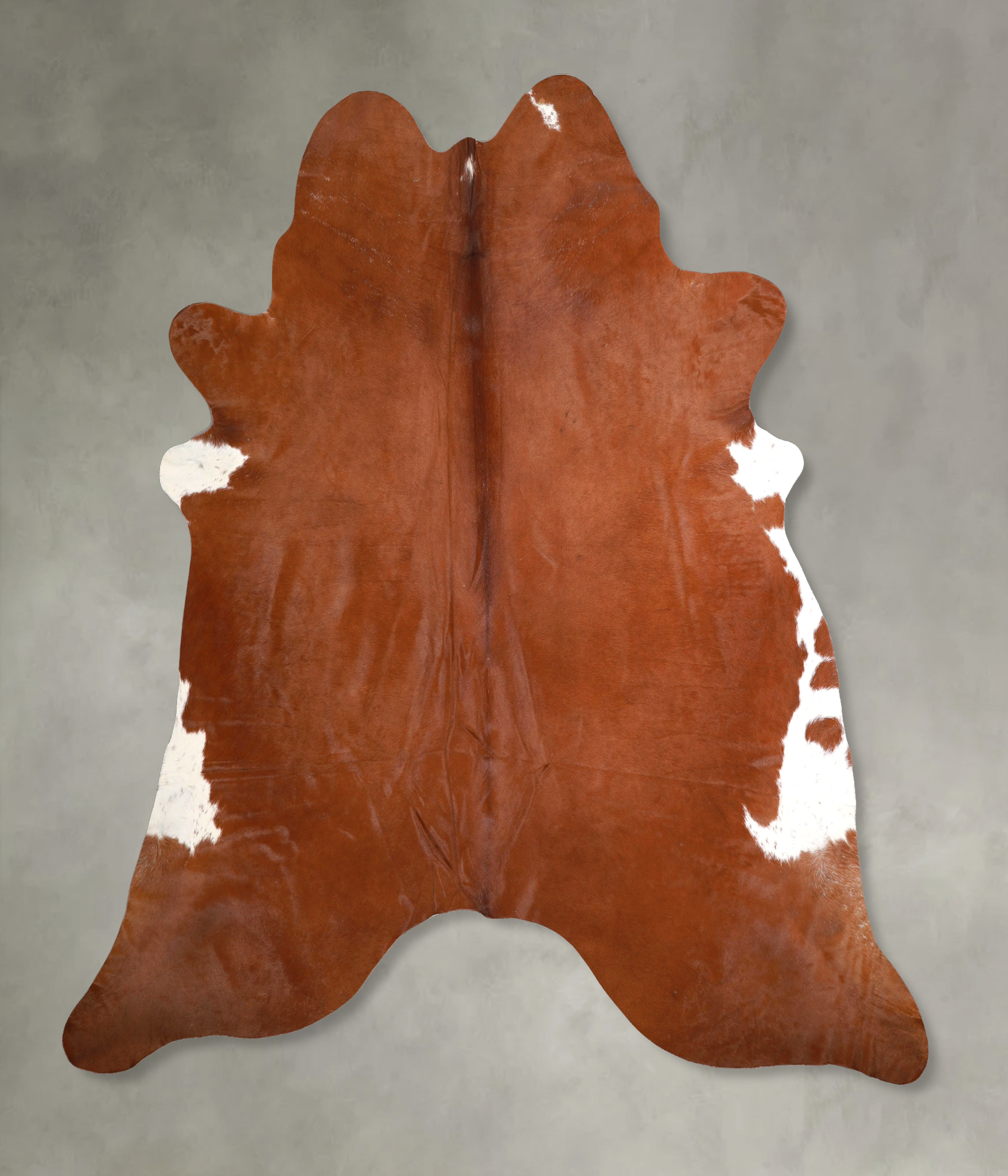 Brown and White Regular Cowhide Rug #A49678