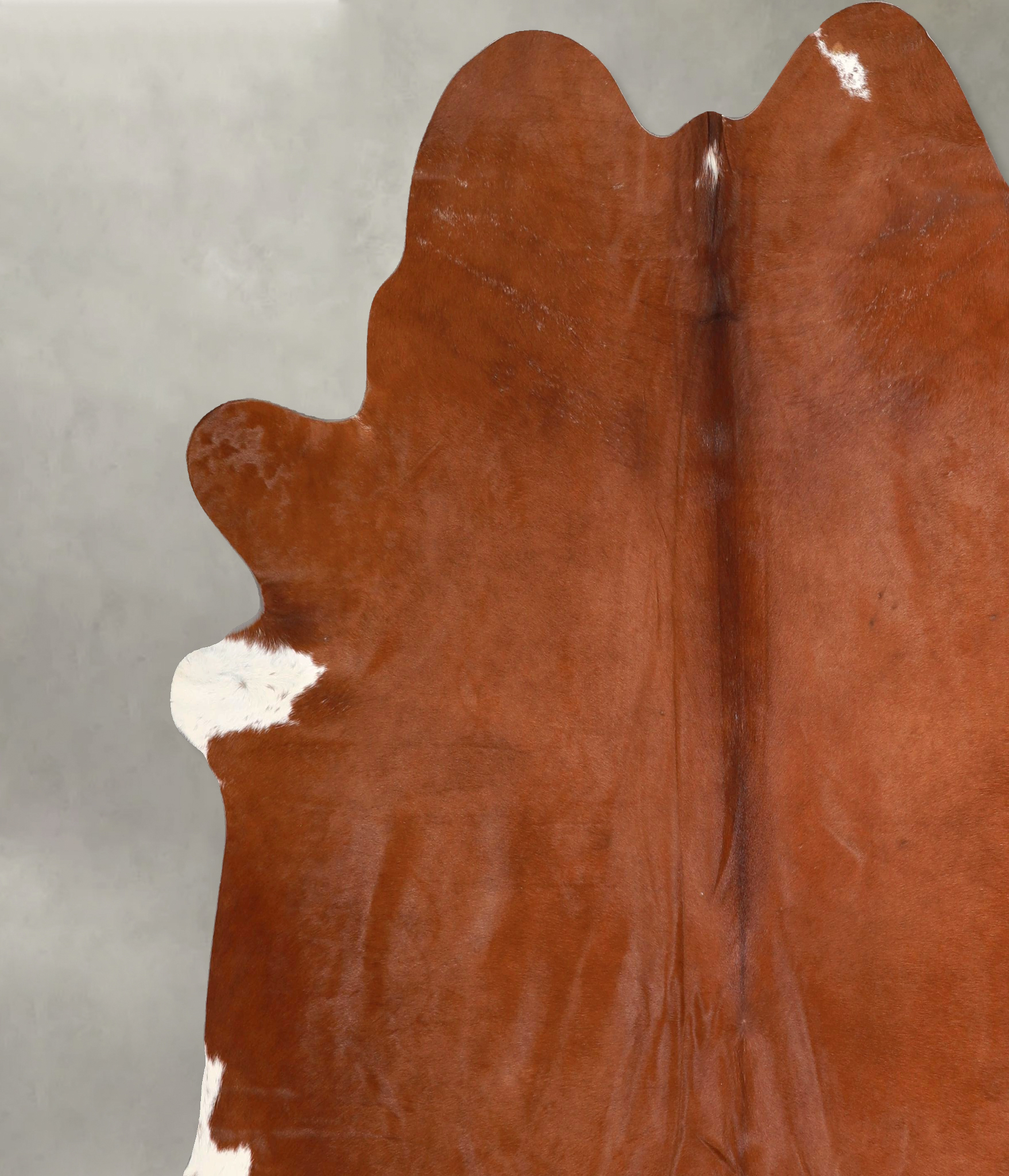 Brown and White Regular Cowhide Rug #A49678