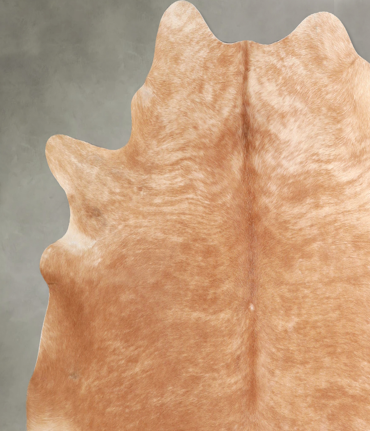 Beige X-Large Brazilian Cowhide Rug 6'9"H x 7'0"W #A49679 by Hudson Hides