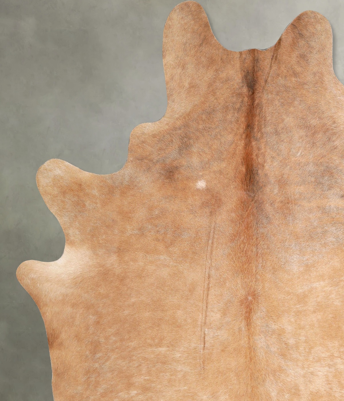 Beige XX-Large Brazilian Cowhide Rug 7'10"H x 6'6"W #A49682 by Hudson Hides